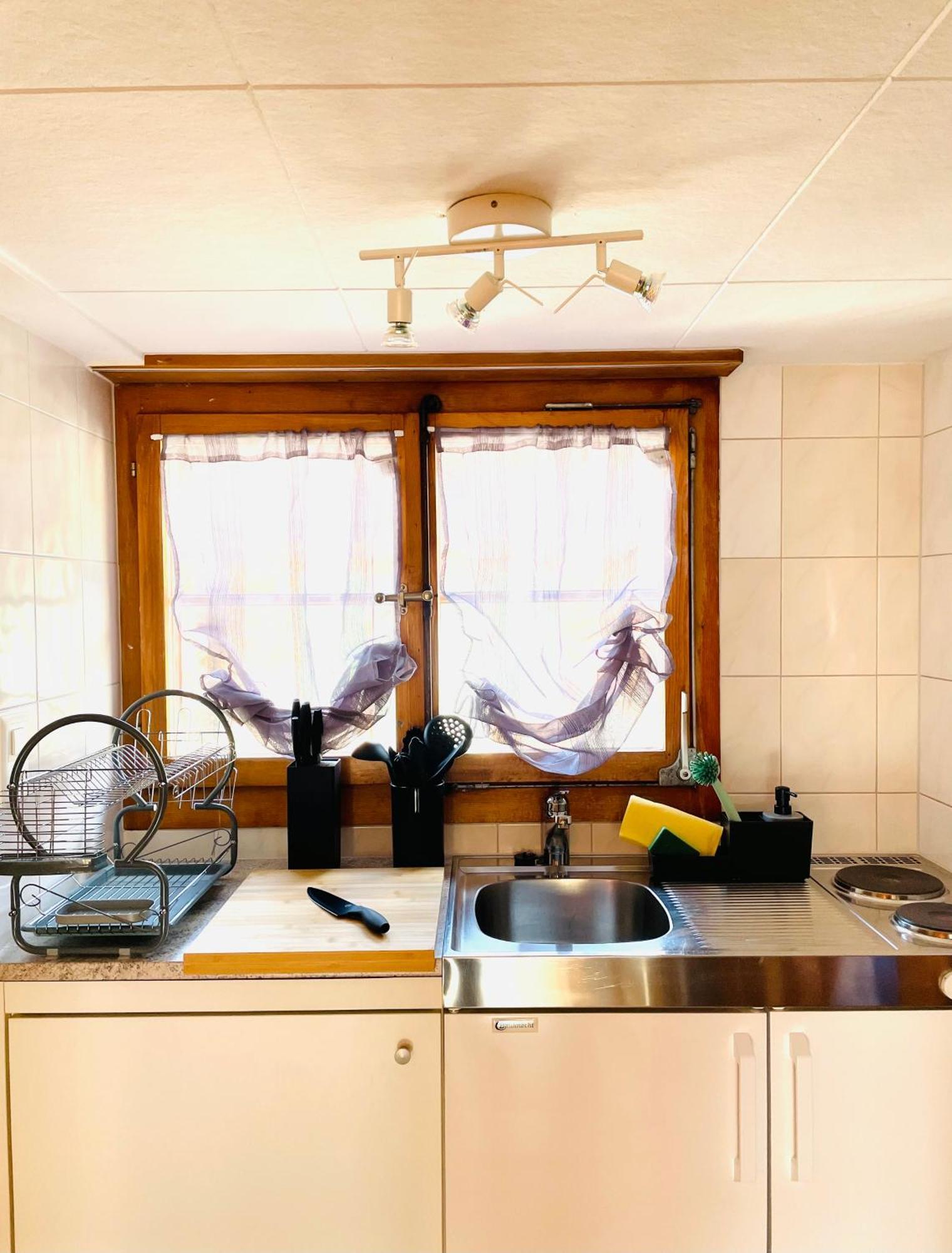 Charming, Well-Equipped Alpine Apartment Kandersteg Exteriör bild