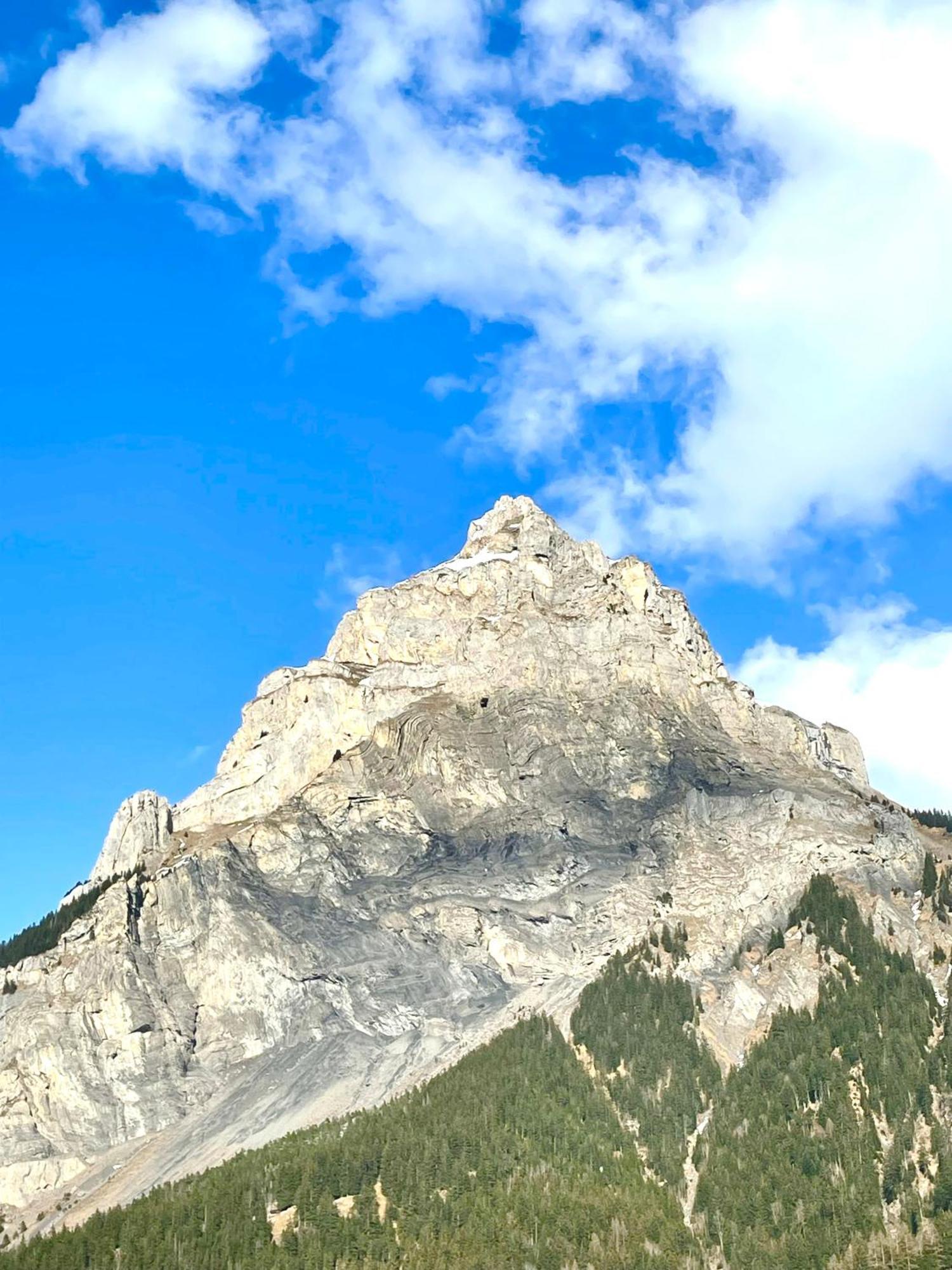 Charming, Well-Equipped Alpine Apartment Kandersteg Exteriör bild